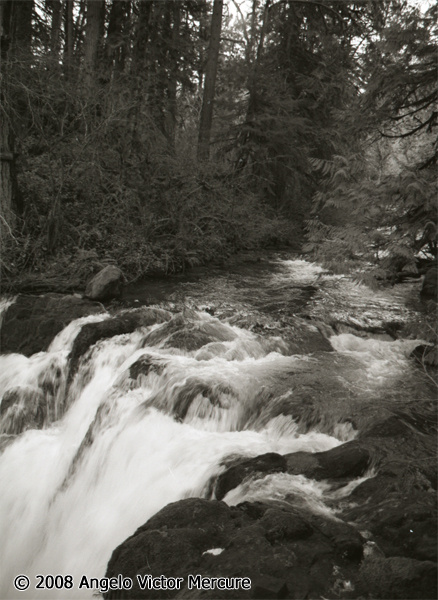 2307 - Waterfalls