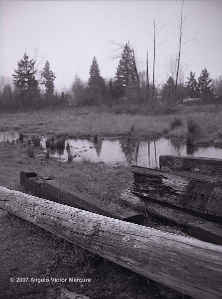 401 - Shingle Mill