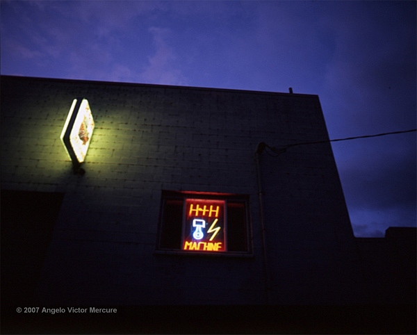 1900 - Neon Wilderness