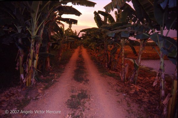 906 - Twilight Imagery