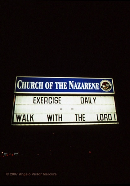 1907 - Neon Wilderness