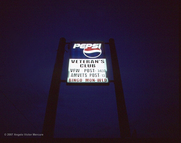 1902 - Neon Wilderness
