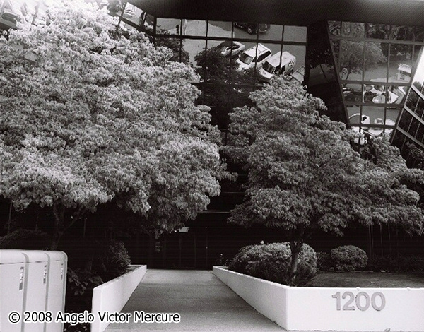 2801 - Architecture