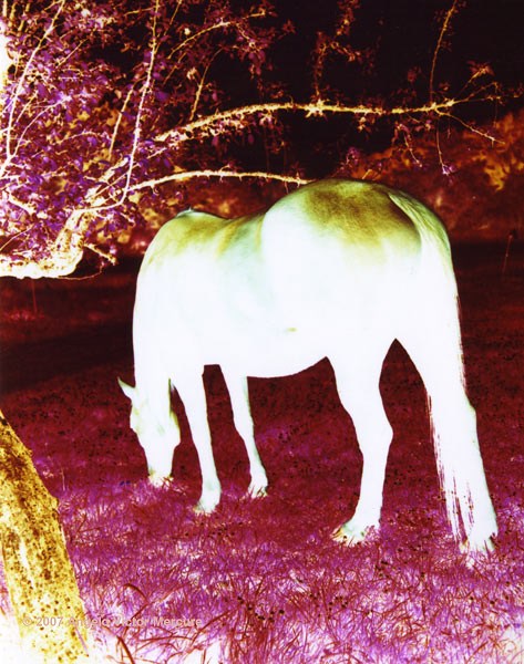 1404 - Infrared