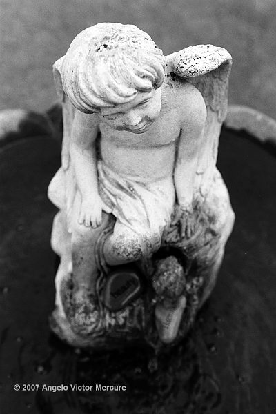 802 - Statuary Garden