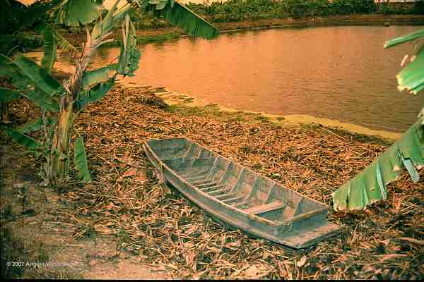 904 - Twilight Imagery