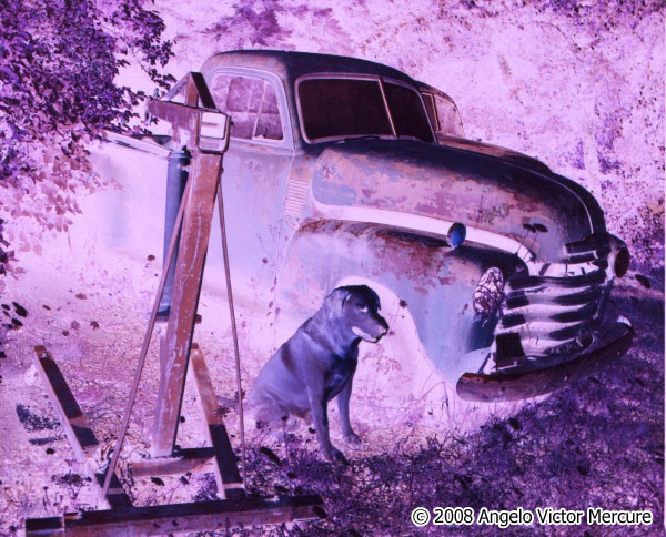 1409 - Infrared