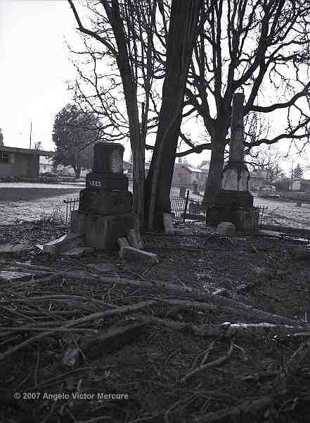 516 - Old Graveyards