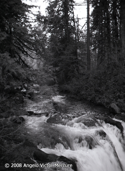 2302 - Waterfalls