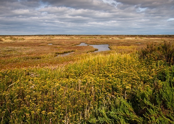 Stiffkey Marshes photographed by Roger Butterfield