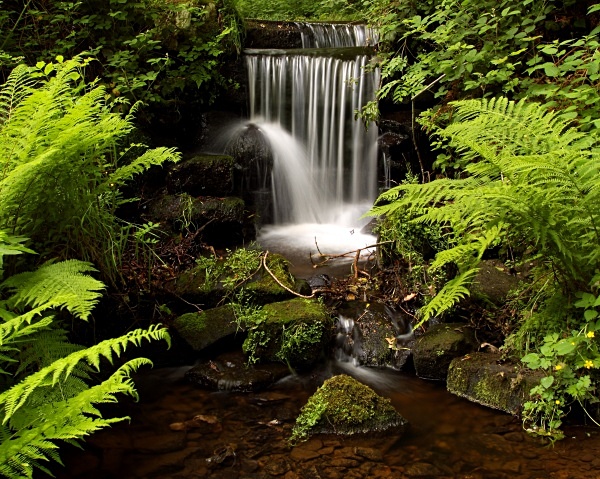 Upper Coppice Wheel - New