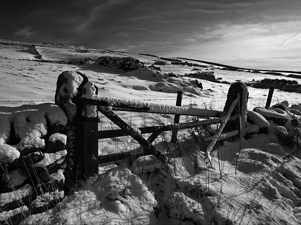 Brown House Lane - Landscapes