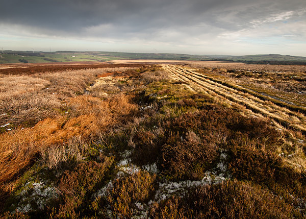 Thurlstone Moors, photographed by Roger Butterfield.