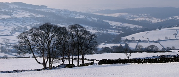 Bradfield Dale (02) - Yorkshire