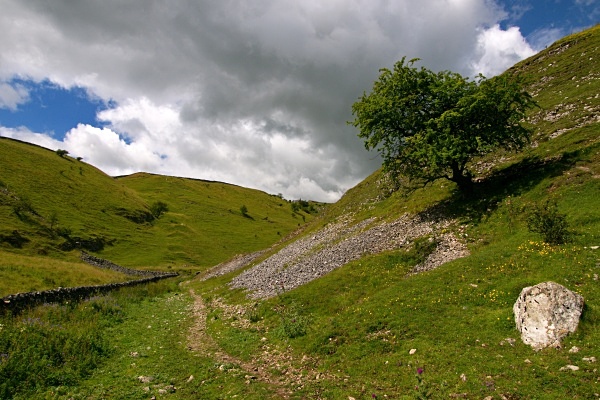 Cressbrook Dale photographed by Roger Butterfield