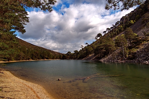 An Lochan Uaine (01) - Scottish Highlands