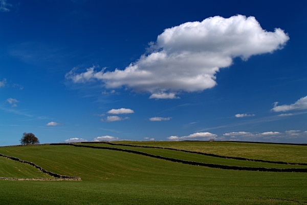 Fields near Tideswell #1 - Derbyshire