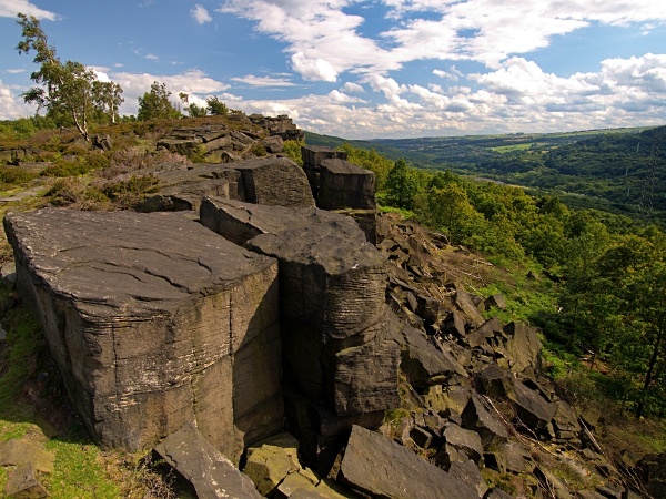Wharncliffe Heath Nature Reserve, photographed by Roger Butterfield.