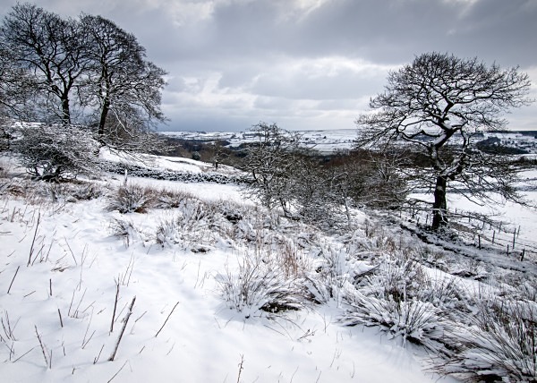Photograph of Rocher Head by Roger Butterfield