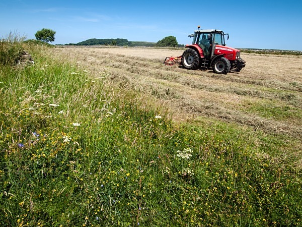 Haymaking near Foolow - Derbyshire