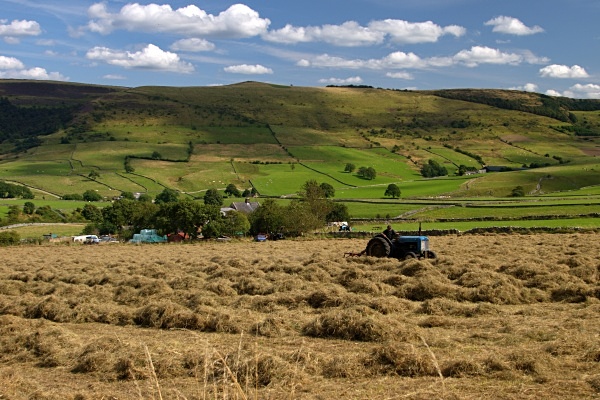 Haymaking near Bradwell - Derbyshire