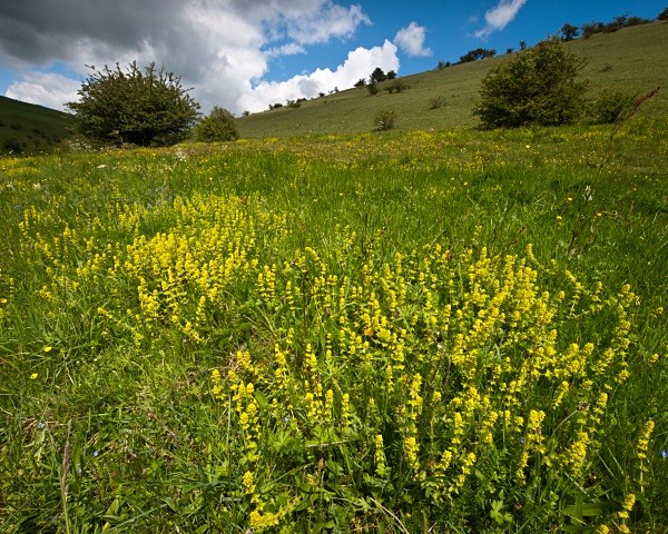 Deep Dale #06 - Deep Dale Nature Reserve