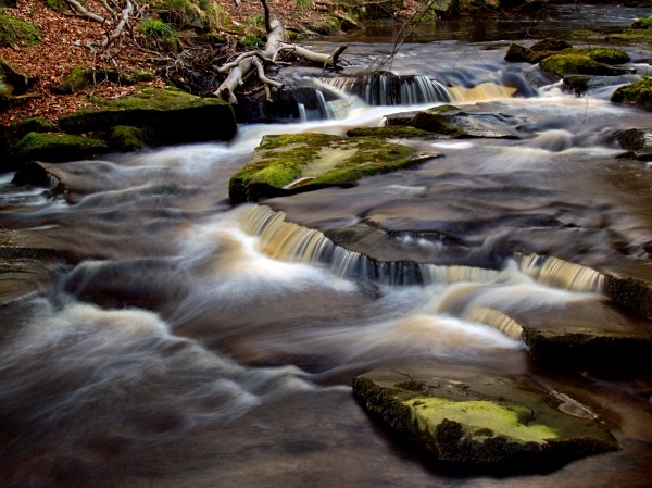 River Rivelin (02) - Yorkshire
