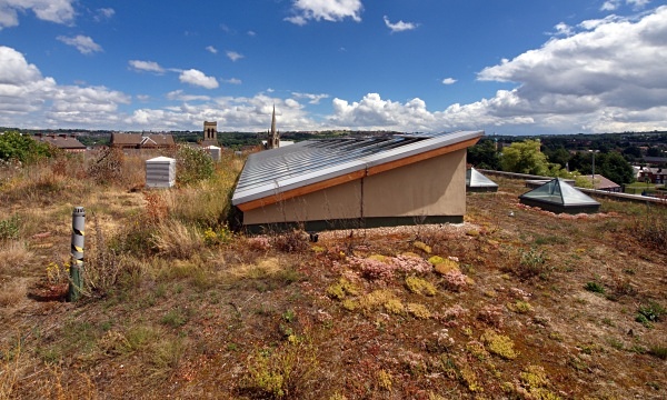 Sharrow School's Green Roof - Sharrow School's Green Roof