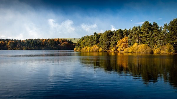 Agden Reservoir - Landscapes & Habitats