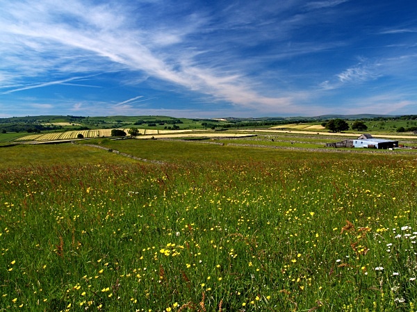 Fields near Tideswell #2 - Derbyshire