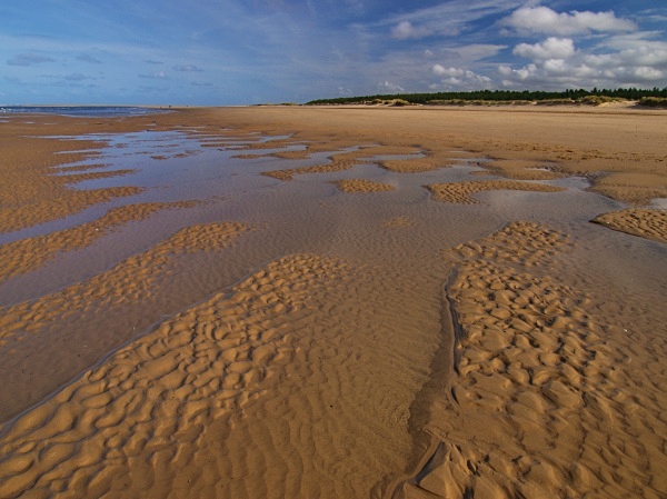 Holkham Beach photographed by Roger Butterfield
