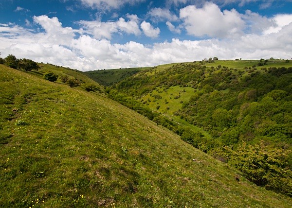 Deep Dale #08 - Deep Dale Nature Reserve