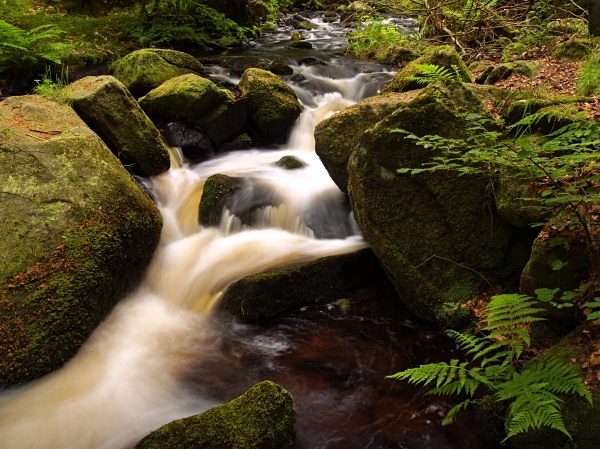 Wyming Brook - New