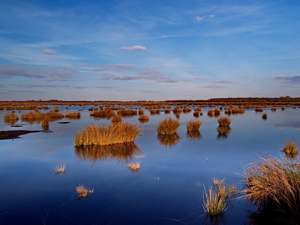 Thorne Moors - Yorkshire
