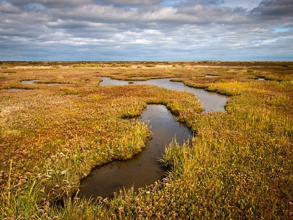 Stiffkey Marshes photographed by Roger Butterfield