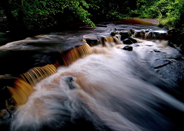 River Rivelin (01) - Yorkshire