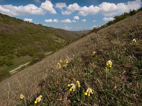 Deep Dale #01 - Deep Dale Nature Reserve