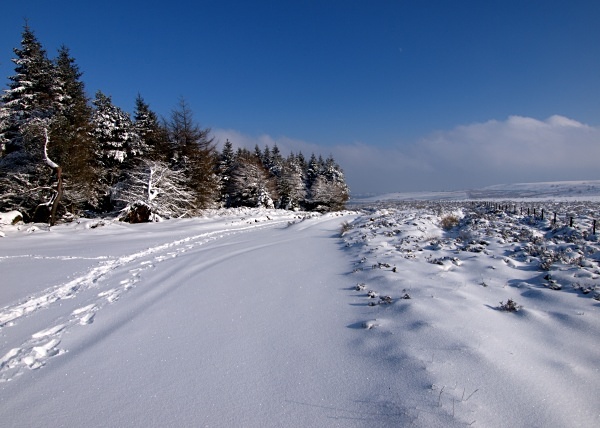 Redmires - Winter