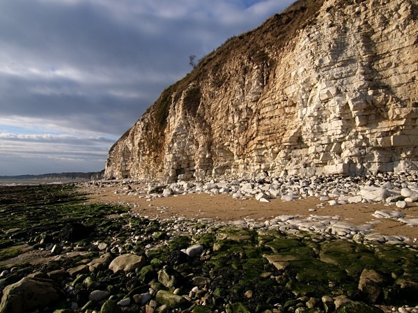 Flamborough Head - Landscapes & Habitats