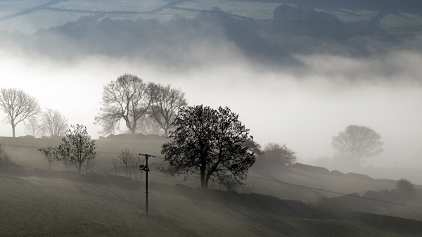 Morning Mist - Winter
