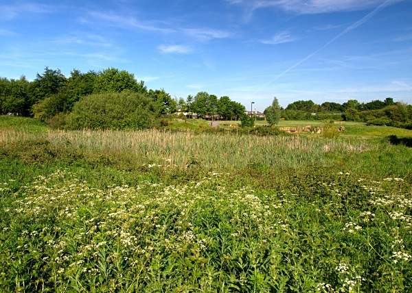 Manor Fields Park #08 - Manor Fields Park