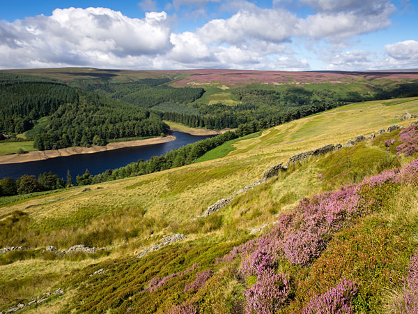 Upper Derwent Valley photographed by Roger Butterfield