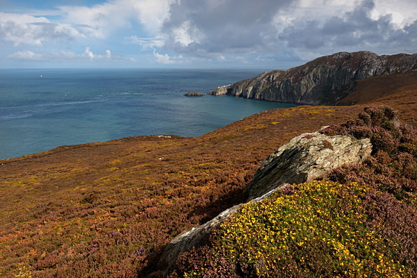 Ynys Lawd #2 - Wales