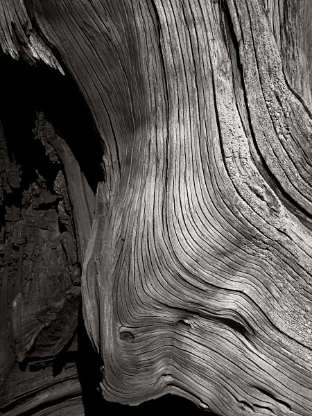 Weathered Oak - Landscape Details