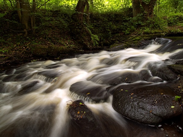River Rivelin - New