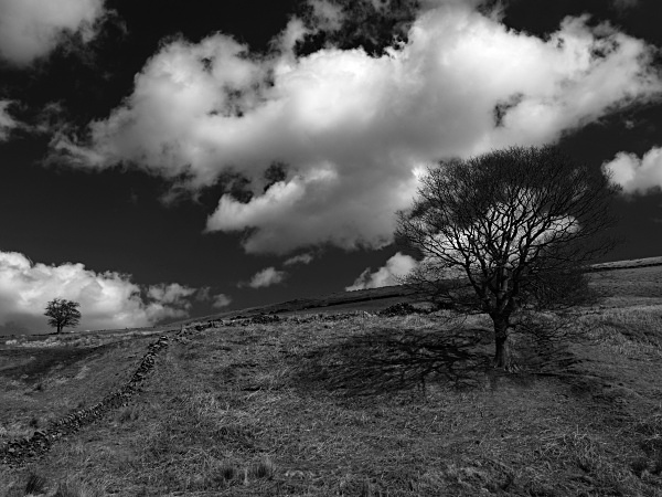 Rocher Head - Landscapes
