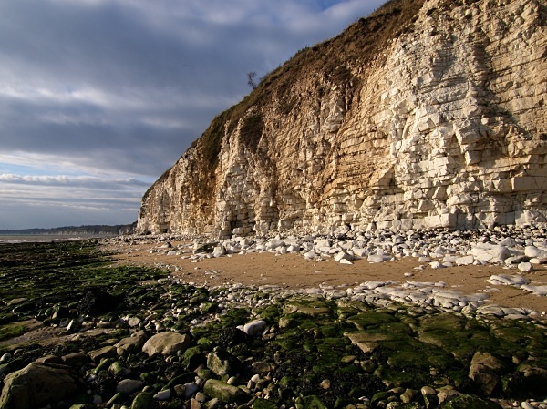 Flamborough Head - Yorkshire