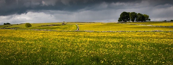 Sheldon - Derbyshire