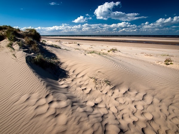 Holkham Beach - Landscapes & Habitats