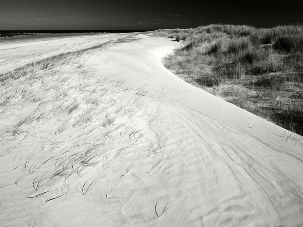 Blakeney Point (02) - Landscapes